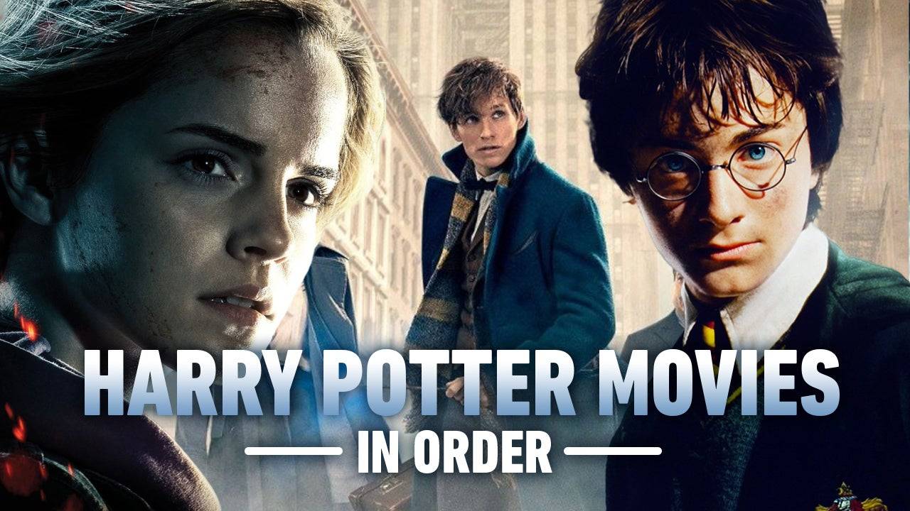 Harry Potter Film Posterleri