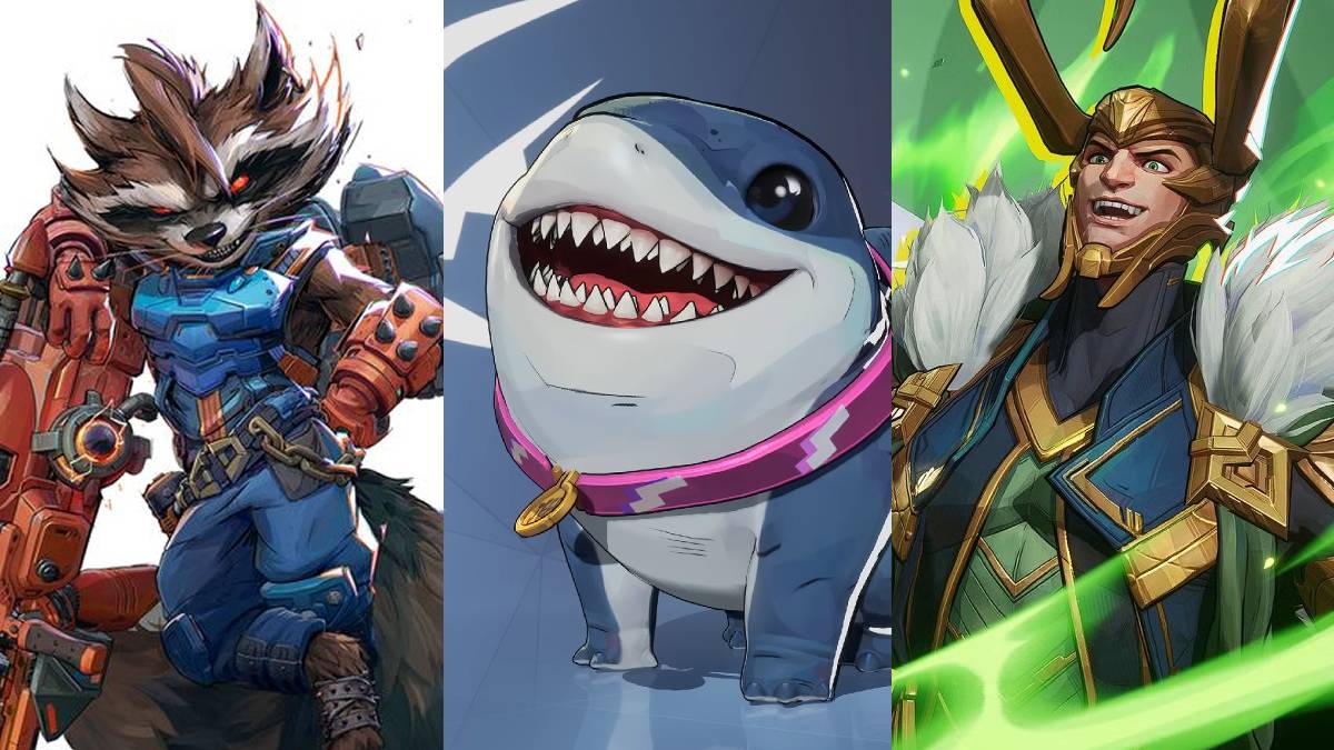 漫威竞争对手的火箭浣熊，杰夫和洛基。