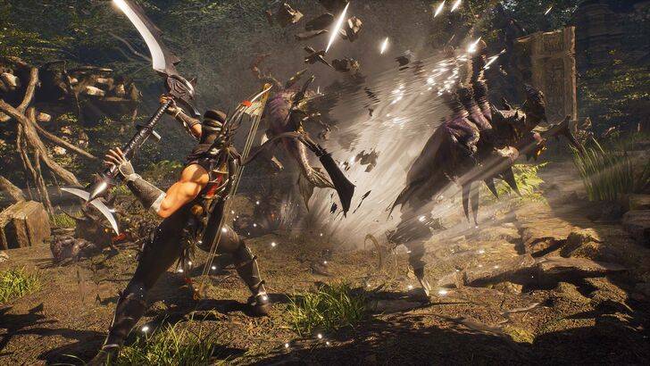 在存在的5个版本中,忍者gaiden 2黑色是确定版