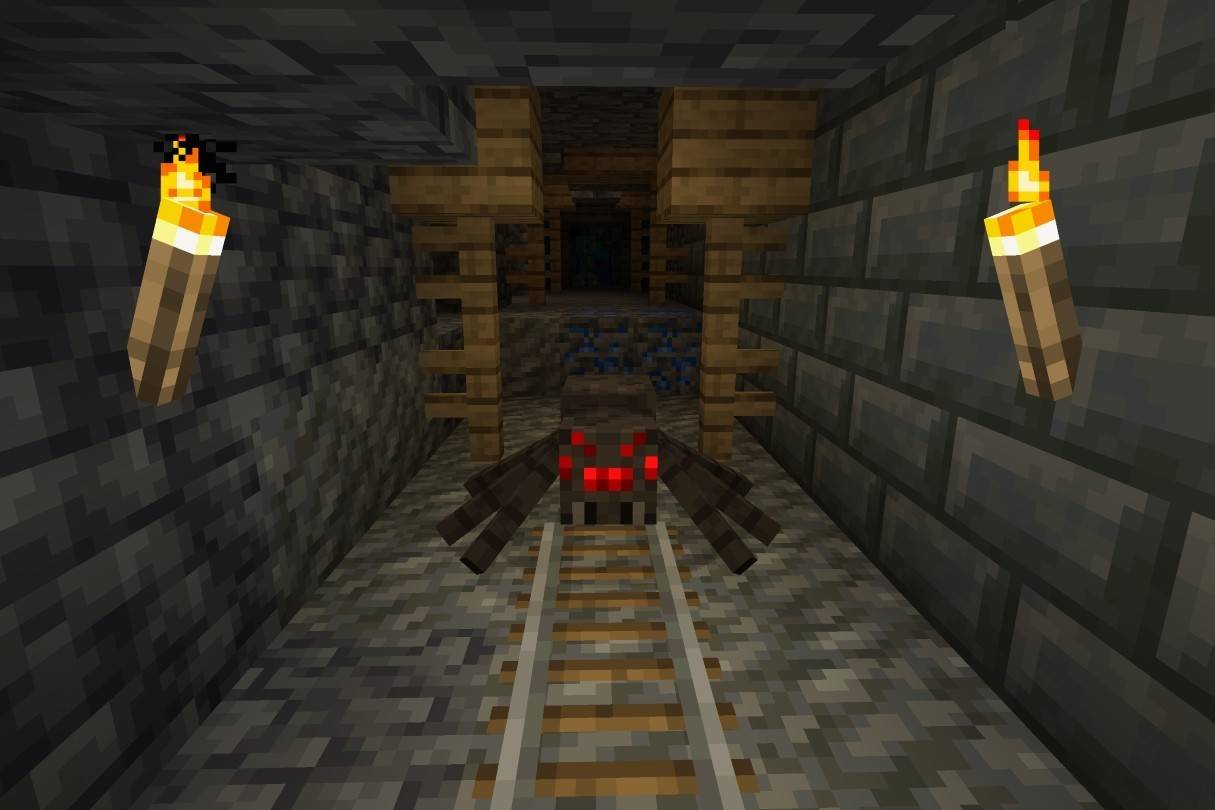 Spiders and Cave Spiders