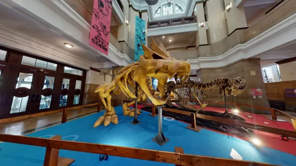 Pokémon Fossil Museum upang magpakita ng tunay at pekeng mga fossil sa amin sa susunod na taon