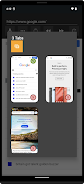 Basic Web Browser Capture d'écran 3
