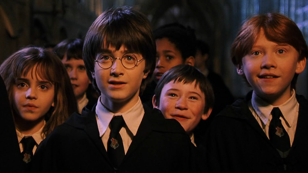 Harry Potter Film Posterleri
