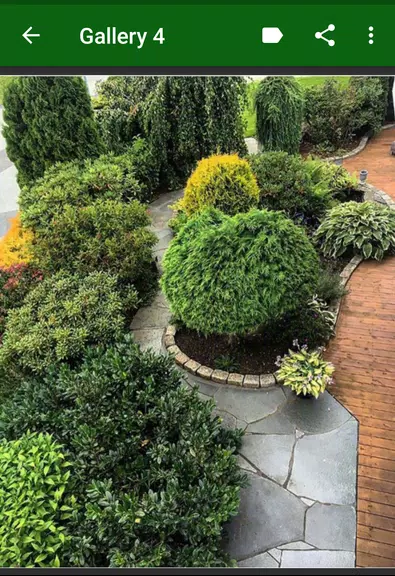 Garden Plants ဖန်သားပြင်ဓာတ်ပုံ 2