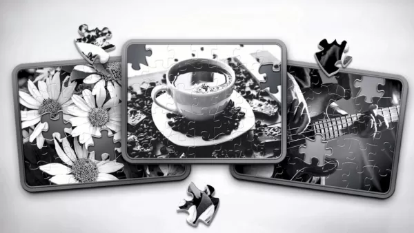 Magic Jigsaw Puzzles dévoile ses Éditions Monochromes